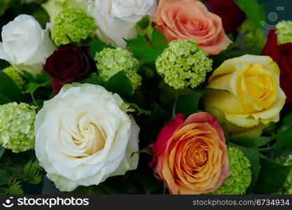 Multicolored Bouquet of Roses as Background