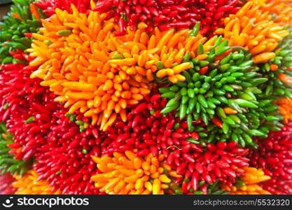 Multicolored chili pepper bunches on the Venice market, Italy&#xA;