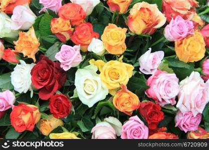 Multicolored floral arrangement with different sorts of roses in bright colors