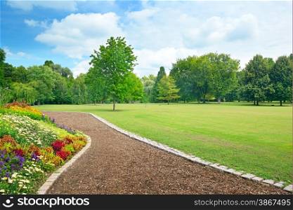 Multicolored flowerbed on a glade