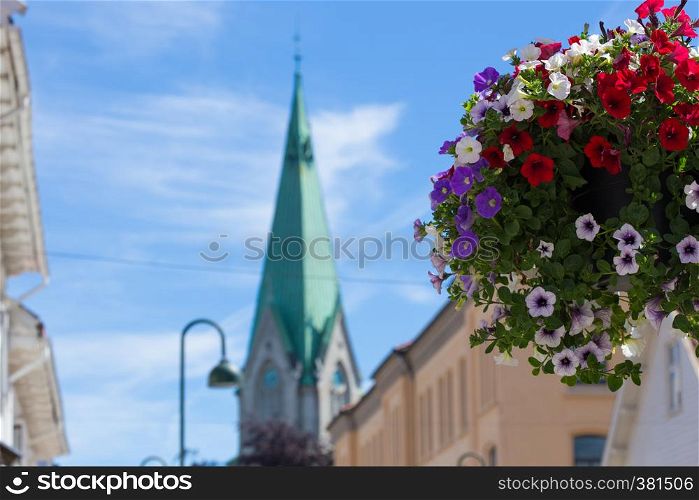 multicolored flowers on a streets of norwegian town Stavanger