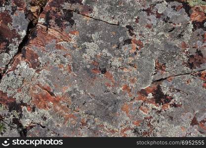 Multicolored red brown black silver grey rock stone moss texture background