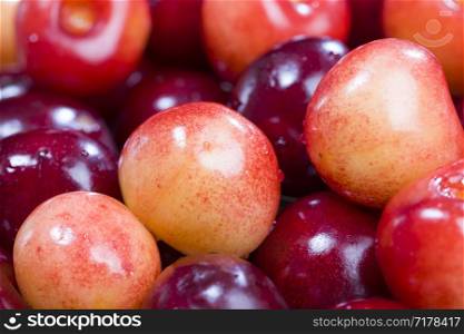 Multicolored ripe berries of a sweet cherry lying in a heap, close-up of natural food from a homemade orchard. sweet cherry
