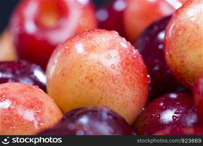 Multicolored ripe berries of a sweet cherry lying in a heap, close-up of natural food from a homemade orchard. sweet cherry