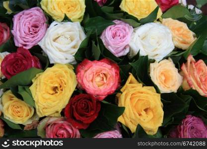 Multicolored rose arrangement after a rainshower, roses full of waterdrops