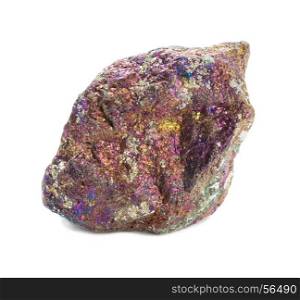 Multicolored specimen of iridescent Chalcopyrite mineral isolated on white background; macro shooting of collection natural rock