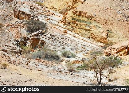 Multicolored stones of Makhtesh Ramon, unique crater in Israel
