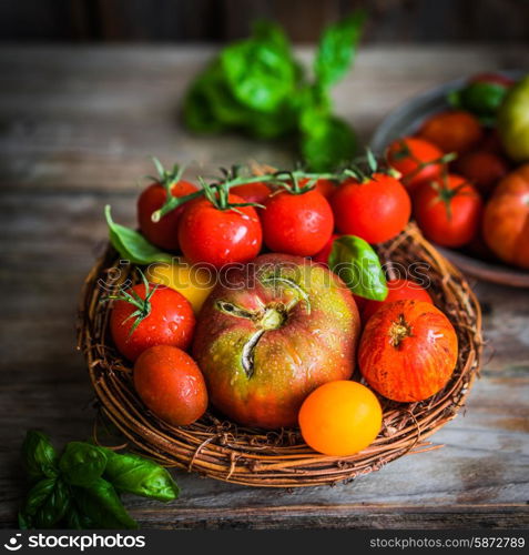 Multicolored tomatoes on rustic wooden background