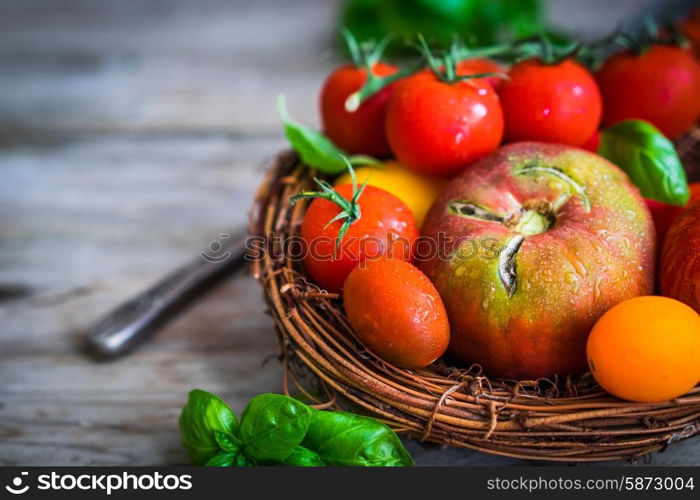 Multicolored tomatoes on rustic wooden background