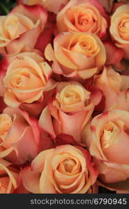 Multicolored vintage look wedding roses in pink, yellow and orange