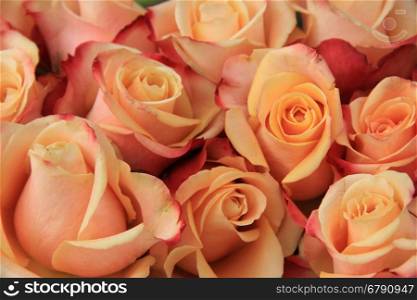 Multicolored vintage look wedding roses in pink, yellow and orange