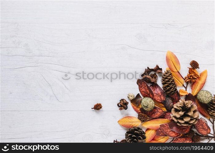 multicoloured bunch leaves. High resolution photo. multicoloured bunch leaves. High quality photo