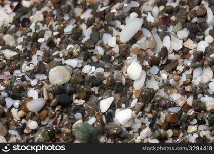 Multicoloured wet quartz pebbles rounded by wave action on the beach