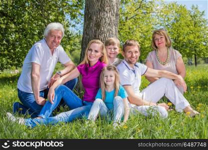 Multigeneration family in park. Smiling multigeneration family of grandparents, parents and children sitting on grass in park and looking at camera