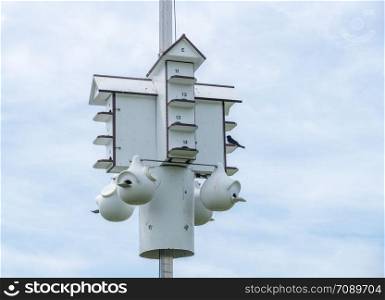 Multiple bird houses in one wooden structure in state park in New Jersey. Multiple occupancy bird house or condo in state park