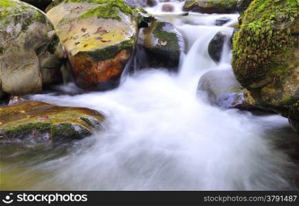 Muniellos river in Asturias forming small waterfall.
