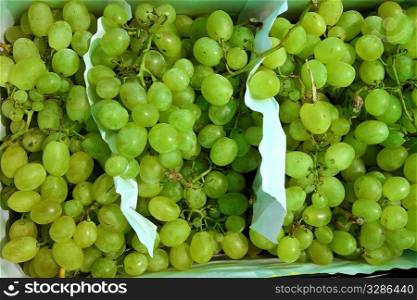 muscat moscatel grape fruit clusters in market