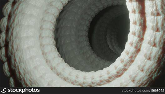 Muscle, tendon contraction in the form of a spiral. Biomechanics. Medicine concept animation. Muscle, tendon contraction in the form of a spiral