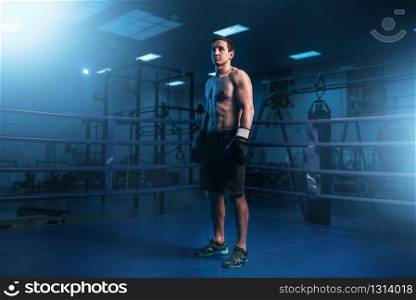 Muscular athlete in sportswear doing exercise with dumbbells on the bench, training in gym. Workout in sport club, healthy lifestyle
