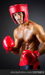 Muscular boxer in studio shooting