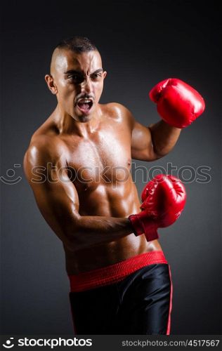Muscular boxer in studio shooting