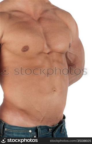 Muscular male torso of bodybuilder at jeans on white background