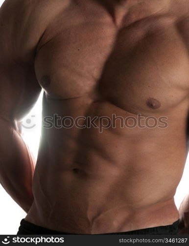 Muscular male torso of bodybuilder on white background