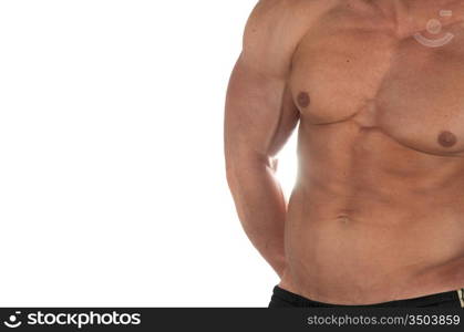 Muscular male torso of bodybuilder on white background