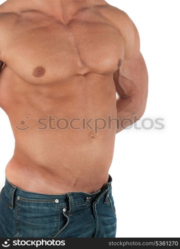 Muscular male torso of bodybuilder on white background