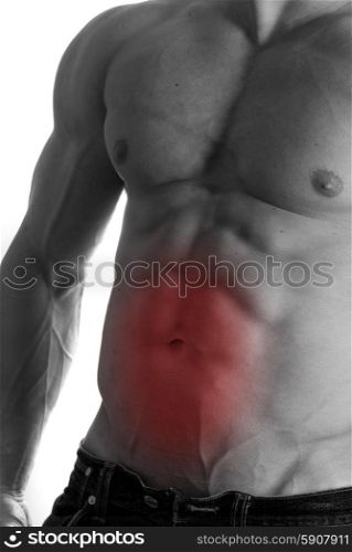 Muscular male torso with abs selected on white background. bodybuilder