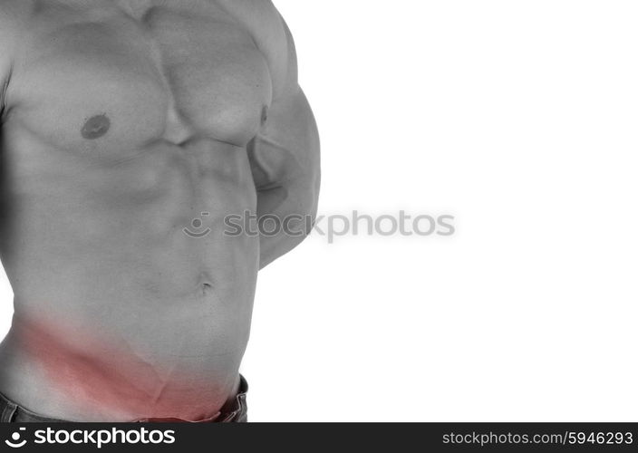 Muscular male torso with abs selected on white background. bodybuilder body closeup