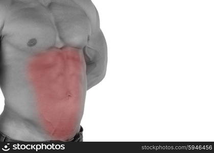 Muscular male torso with abs selected on white background. bodybuilder body closeup