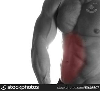 Muscular male torso with abs selected on white background. bodybuilder body closeup