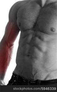 Muscular male torso with arm selected on white background. bodybuilder body closeup