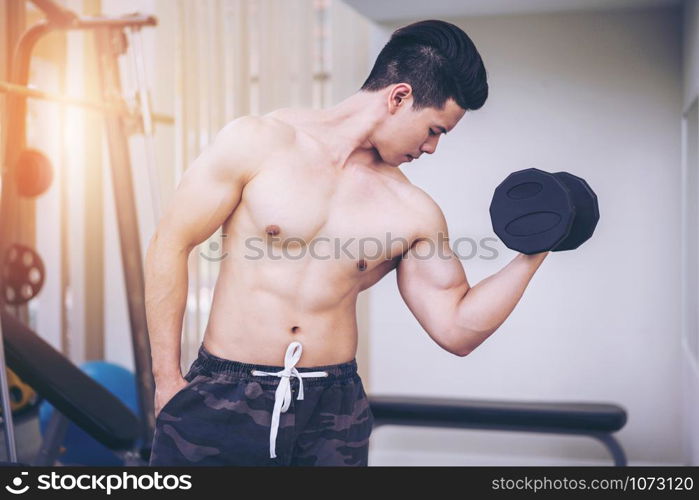 Muscular man bodybuilder in fitness gym training with dumbbells. Healthy lifestyle and bodybuilding concept.