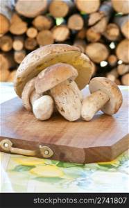 mushroom boletus edulis , fruits of the wood, Porcini