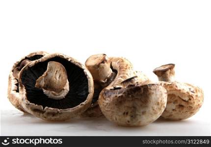 mushroom champignons.