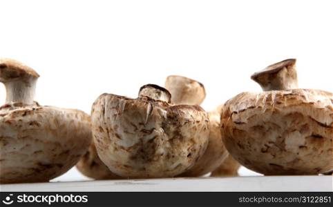 mushroom champignons.