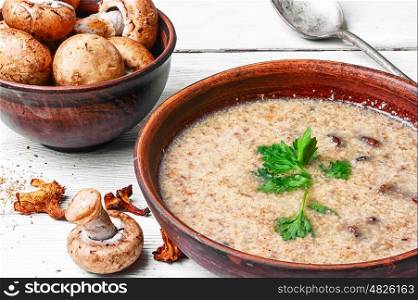 Mushroom creamy Soup. plate of cream soup from the harvest of fresh autumn mushrooms