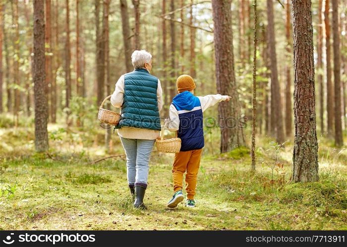 mushroom picking season, leisure and people concept - grandmother and grandson with baskets walking in forest. grandmother and grandson with baskets in forest