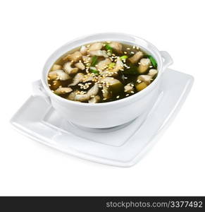 Mushroom soup on a white background