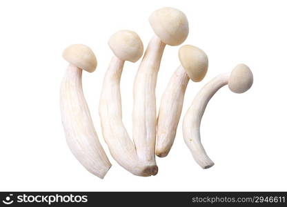 Mushrooms