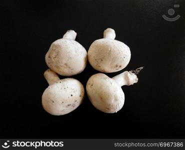           mushrooms