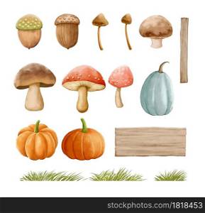 Mushrooms autumn set with grass in watercolor painting style. Mushrooms isolated on a white background.