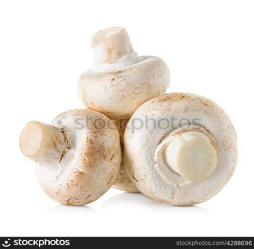 mushrooms champignons isolated