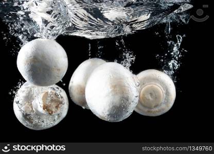 Mushrooms, champignons isolated on black background, dropped into water with splash. Healthy food background.. Mushrooms, champignons isolated on black background, dropped into water with splash