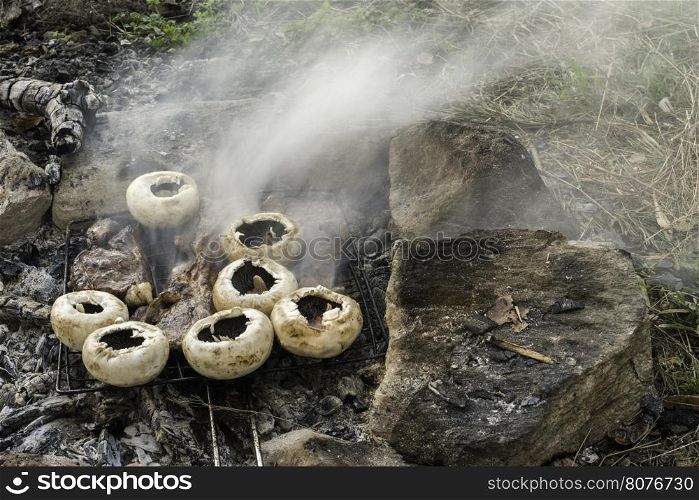 Mushrooms grilled on a coals in nature. Fog