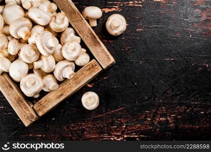 Mushrooms on a wooden tray. Against a dark background. High quality photo. Mushrooms on a wooden tray.