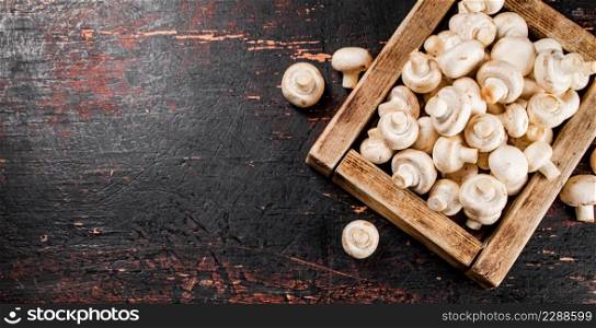 Mushrooms on a wooden tray. Against a dark background. High quality photo. Mushrooms on a wooden tray.