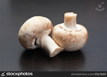 mushrooms on the kitchen table